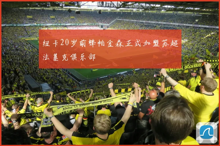 纽卡20岁前锋帕金森正式加盟苏超法基克俱乐部