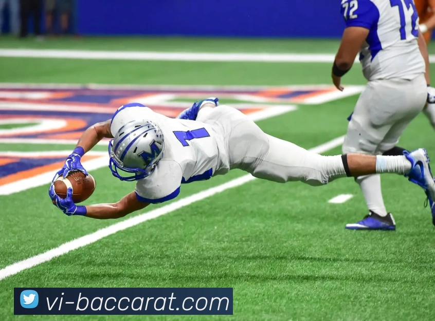 百家乐网站平台生态图